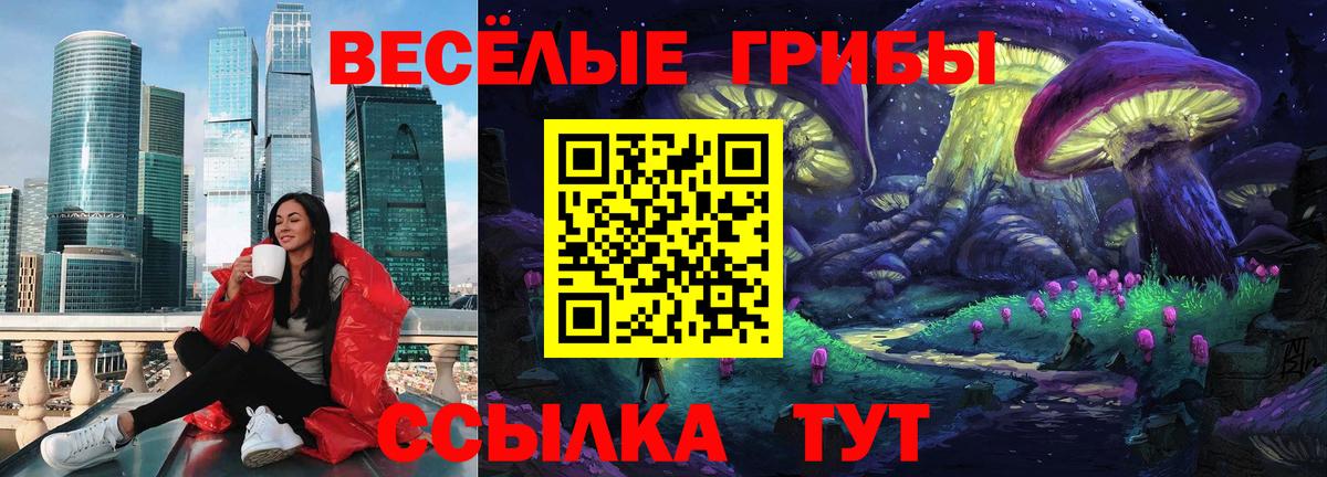 Псилоцибиновые грибы Magic Shrooms Котлас